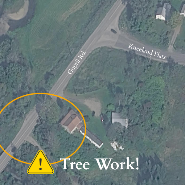 map showing area of tree work on Guptil Rd near Kneeland Flats