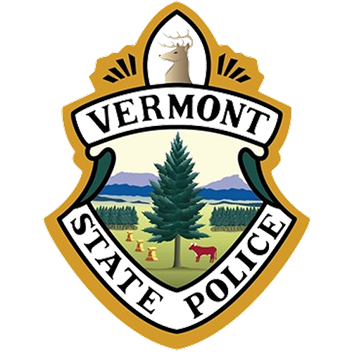 VSP logo